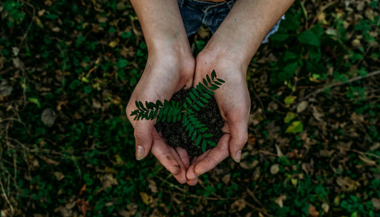 Jewelry That Shines with Purpose: How We Offset the Carbon Footprint of Every Delivery